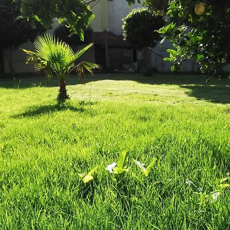 فندق مبيت وإفطار Alojamento Dona Jucunda *